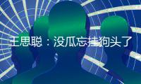  王思聪：没瓜忘挂狗头了 王思聪点评半藏森林说了什么