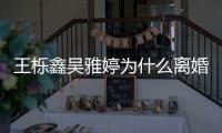  王栎鑫吴雅婷为什么离婚？网友推测：为上综艺假离婚