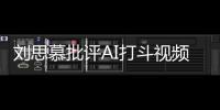  刘思慕批评AI打斗视频：这完全是胡说八道！
