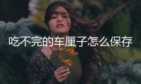  吃不完的车厘子怎么保存