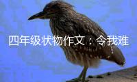  四年级状物作文：令我难忘的小鸭