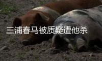  三浦春马被质疑遭他杀 近万粉丝联署要求警方调查