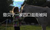 撒贝宁一家四口逛街被网友偶遇 宝宝背影乖巧可爱