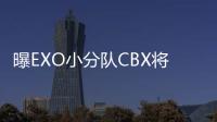  曝EXO小分队CBX将回归 EXO有几个队？成员都有谁