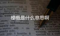  梗概是什么意思啊