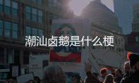  潮汕卤鹅是什么梗