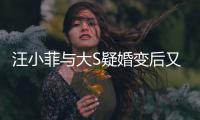  汪小菲与大S疑婚变后又出事?俏江南买家怒告其欺诈