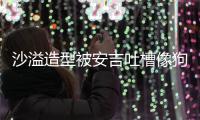  沙溢造型被安吉吐槽像狗熊 反击：你是熊孩子