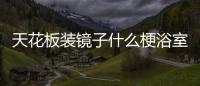  天花板装镜子什么梗浴室装把手