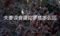  夫妻误食曼陀罗是怎么回事？曼陀罗到底是药还是毒？