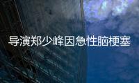  导演郑少峰因急性脑梗塞病逝 享年76岁