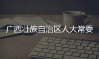  广西壮族自治区人大常委会党组成员、副主任，桂林市委书记周家斌接受中央纪委国家监委纪律审查和监察调查