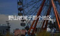  野山坡属于那个地区