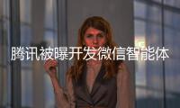  腾讯被曝开发微信智能体 将直连小程序 网友：这打击太狠