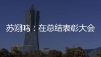  苏翊鸣：在总结表彰大会上仿佛重温夺金瞬间 明年想上一所好大学