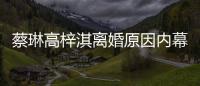  蔡琳高梓淇离婚原因内幕 两人什么时候结婚为什么离婚