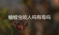  蛐螋虫咬人吗有毒吗