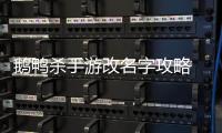  鹅鸭杀手游改名字攻略 鹅鸭杀手游怎么改名字