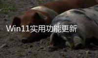  Win11实用功能更新：共享音频终于可单独调整音量！